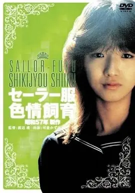 飙升榜作品封面
